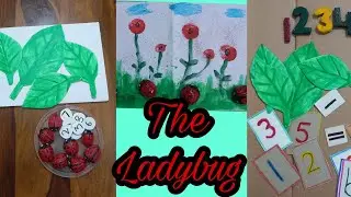 Maths TLM ||TLM forPrimary Classes||Zero cost||DIY ||Maths working model ||Ladybug  themed