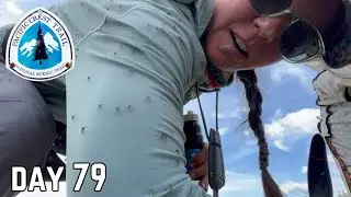 Day 79| Attack of the Mosquitoes 🦟 on an Easy 22- Mile Day | Pacific Crest Trail Thru Hike