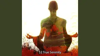 Gracious Peace