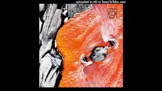 Primal Code - Alhambra