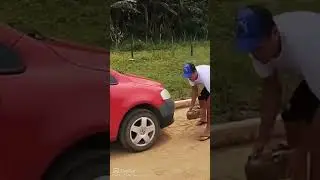 Nature #joke #неспорьсдураками