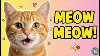 Cat Sounds for Kids | Real Cat Meowing Video | Learn Animal Sounds for Children
