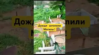 Вода Затопила Могилы &mdash; Мольба о Защите от Всевышнего! #shotrs