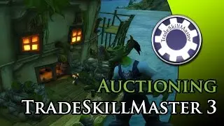 TSM 3 - How to set up selling rules (Auctioning)