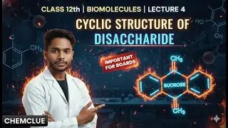 Cyclic Structure of Disaccharide || Class 12th Chemistry (L-4) || NEET/CBSE/HBSE
