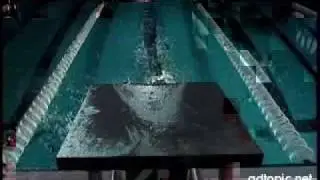 Thorpedo - racing the seal part 2