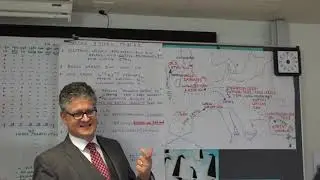 Dr. Verhoef, 