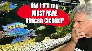 Correcting a pH Crash in My Cichlid Tank [This One HURT!]