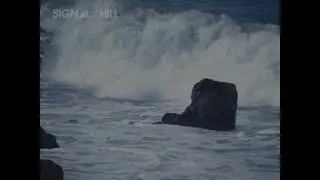 Signal Hill - The Seafarer (Official Music Video)