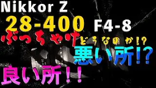 【レビュー】NIKKOR Z28−400 F4-8はどんなレンズ？良いとこ悪いとこ！