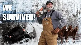 Slipping, Sliding & Still Standing | Horse Shelter Heroes - HSH S7 E4