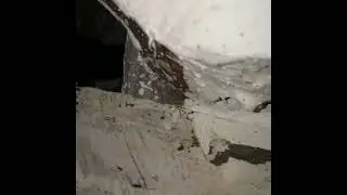 diatom uygulaması