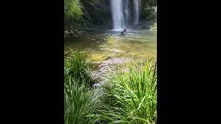 Boundary Falls #slowmotion #waterfall #hiking #hikensw