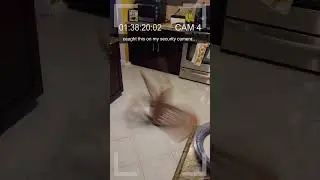 chair glitching caught on security camera... #shorts