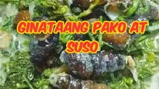 GINATAANG PAKUH/FERN with SUSU(step by step)
