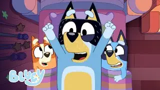 Riccioli D&rsquo;oro 📖🥣 | BLUEY I-CORTI 📺 | Bluey Italiano Canale Ufficiale