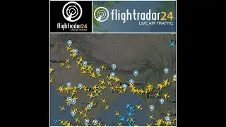 How to track your flight|FLIGHT RADAR 24|FLIGHT STATUS SEARCH|FLIGHT DETAILS #shorts #trending