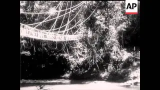 EXPLORING NEW GUINEA JUNGLE
