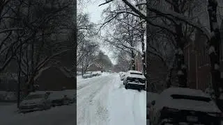 #snowday #chicago #illinois #usa #usashorts #winterstorm #winter