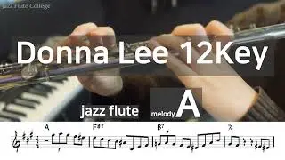 12key Challenge [Donna Lee] for jazz flute /2. G ~ B