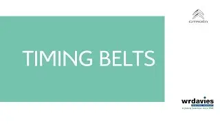 W R Davies Citroen - Timing Belts