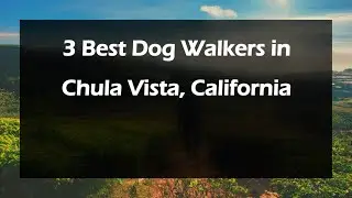 3 Best Dog Walkers in Chula Vista, California | Dog Walking Services