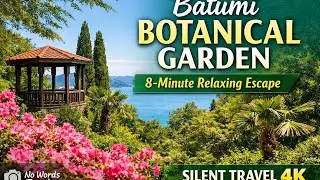 Batumi Botanical Garden 🇬🇪.