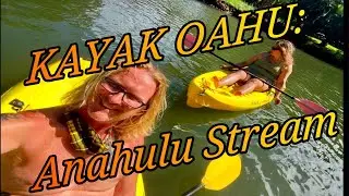 Kayak Oahu: Anahulu Stream
