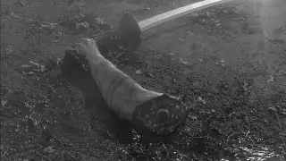Yojimbo 1961 There's no cure for fools 4K Akira Kurosawa