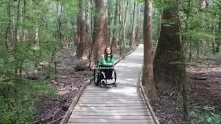 Congaree National Park in South Carolina Wheelchair Hiking Tips