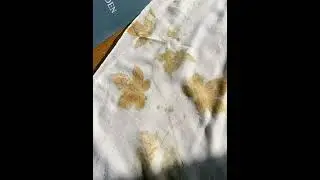 ecoprinting #craft #eco #dyeing #nature #ecofriendlyclothing #ecoprint #wildlife #embroidery #eco