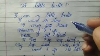A little turtle 🐢 beautiful cursive handwriting✍🏻 | Day 6 | hand writing✍🏻 