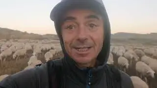 Al tajo