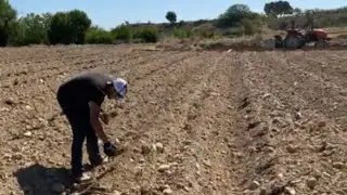 دير حرفة باش ماتبهدلش  حلاق بناء سودور جزار صباغ اسبانيا 🇪🇸 قبيحة في ربح المال الله المعين 🫡🚨