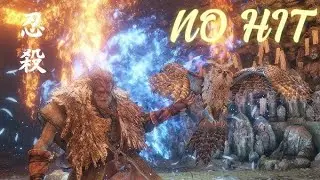 Sekiro&trade;: Shadow's die twice (owl) father no hit