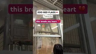 ZOO RED FLAGS 🚩 #animallover #zoo #zooanimals #zookeeper #uenozoo #japantravel