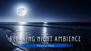 Calm Tropical Beach Night 🌙 Peaceful Sleep Ambience