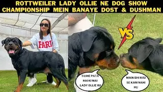 Rottweiler Lady Ollie FInally Pohanch Gayi Dog Show Championship: Olla Ne Banaye New Dost & Dushman