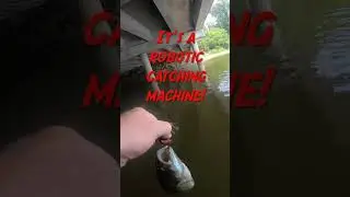 Rattlebot for creek bass 🎣