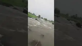 Heavy rain in tamhini #shorts #nature #monsoon #rain