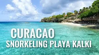 CURACAO Snorkeling Playa Kalki - Alice in Wonderland [4K]