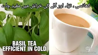 Basil Tea/Herbal Tea/Tulsi KI Chai/Basil milk tea