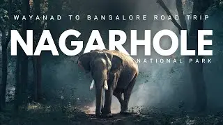 Nagarhole National Park | Wayanad to Bangalore Road Trip | Hindi