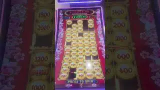 My best bonus yet, balls 4 all..