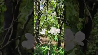Житомир, Гидропарк #апрель #nature #spring #weekend #goodday #life