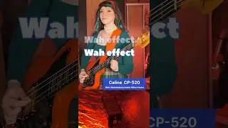 Caline CP-520 Wah-Wah/Volume Effect Pedal FENDER MIKE KERR JAGUAR BASS #bassist #effectspedals