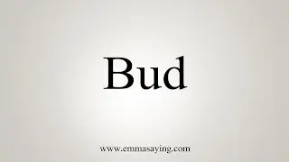 How To Say Bud