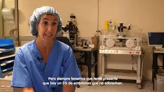 Embriones desvitrificados &iquest;Posibilidades de supervivencia? | Dra. Amaia M&uacute;gica