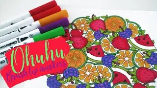Ohuhu Dual Tip Marker Pen Review | TomBow Dupe?