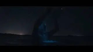BIOLUMINESCENCE FLORIDA